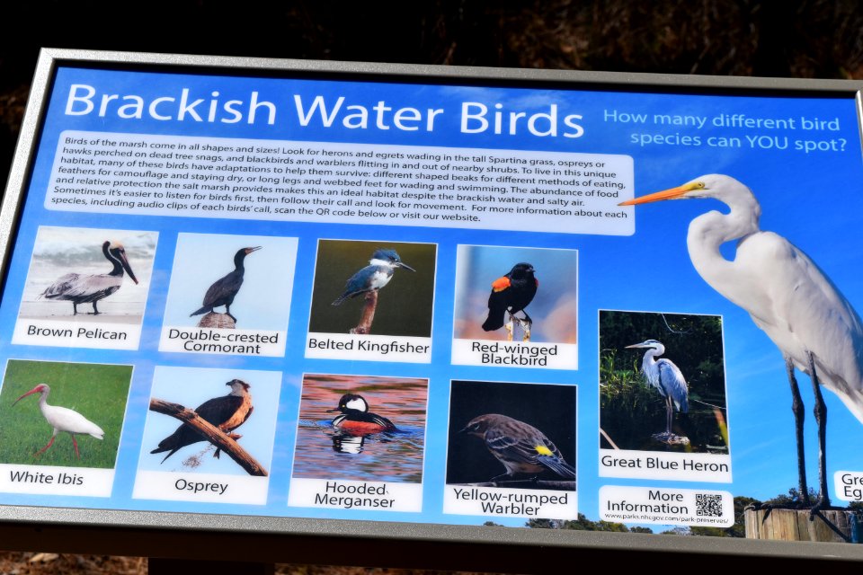 sign Pages Creek Park Preserve ncwetlands AM (2)