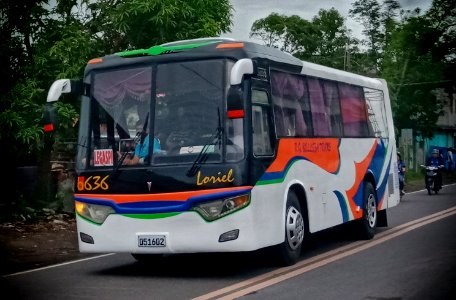 R.G Belleza Trans B636
