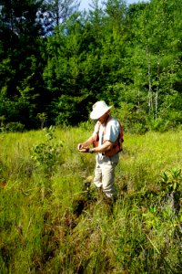 scientist studying soil Panthertown Bog ncwetlands KG