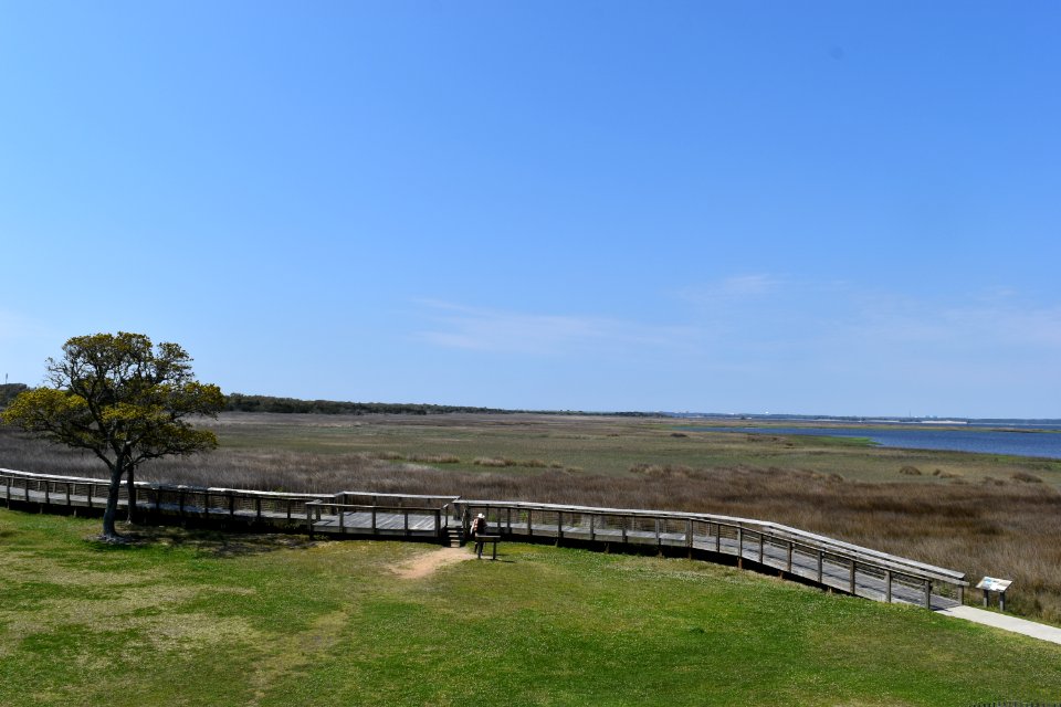 scene brackish marsh Fort Fisher State Historic Site ncwetlands AM (18)