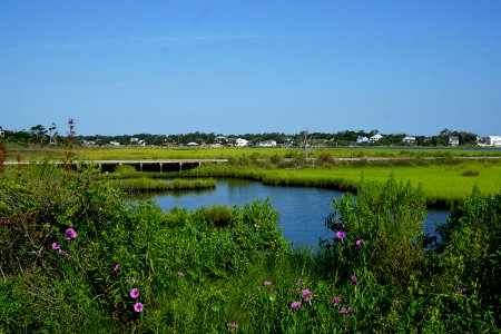 scene Emerald Isle boat ramp KG (44)
