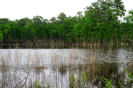 scene carvers creek SP KG (18)