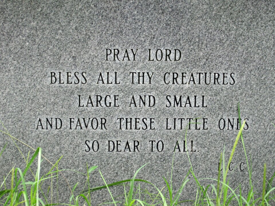Dog animal cemetery