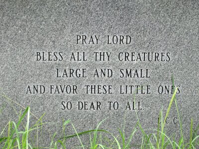 Dog animal cemetery