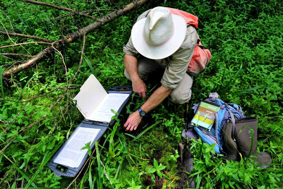 scientist studying wetland Pink Beds Pisgah NF ncwetlands KG (3)