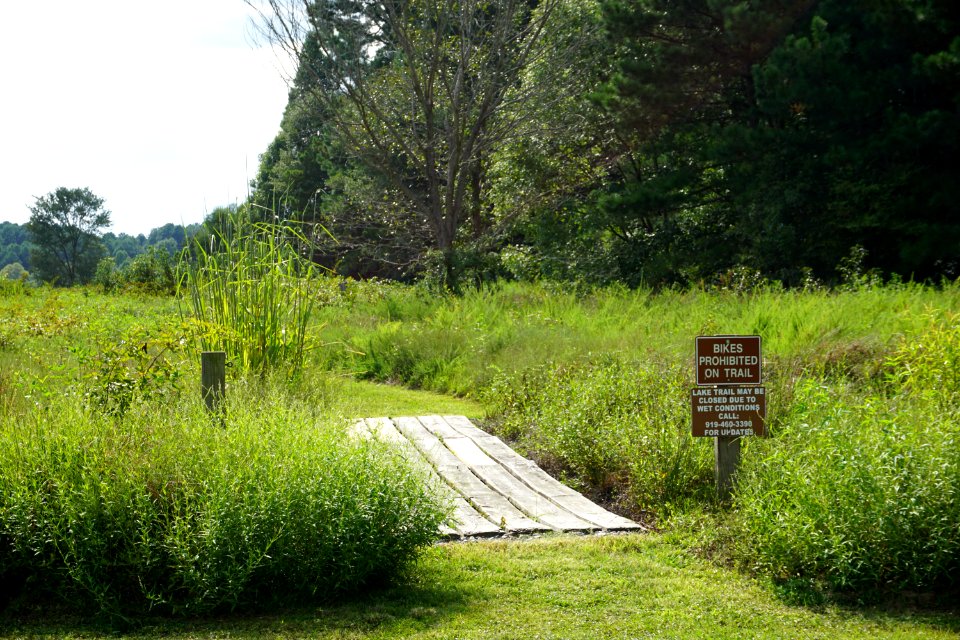 scene Lake Trail Lake Crabtree County Pk ncwetlands KG (5)