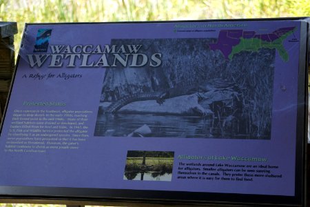sign Lake Waccamaw State Park ncwetlands KG (5) photo