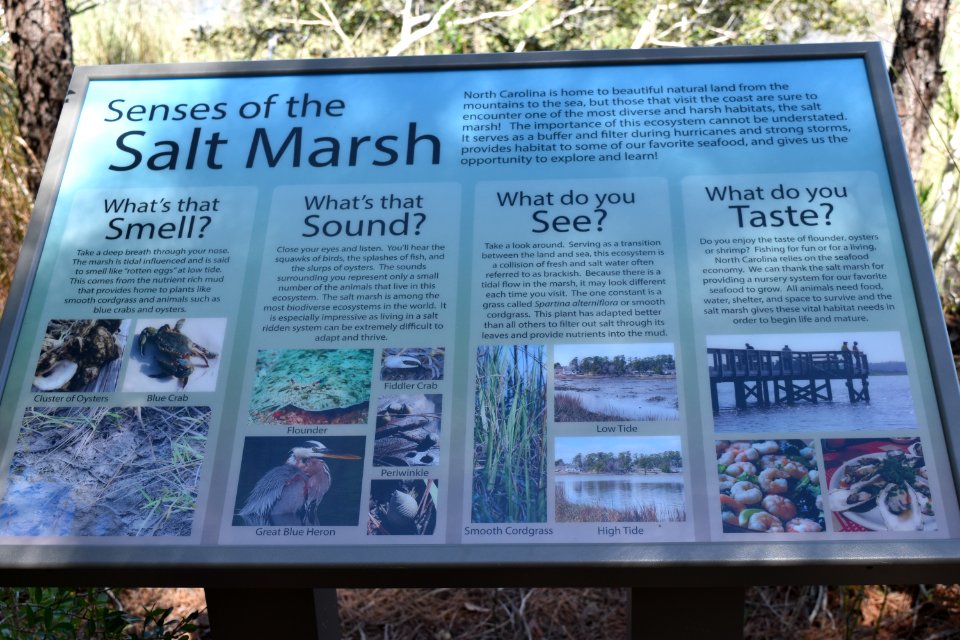 sign Pages Creek Park Preserve ncwetlands AM (1)