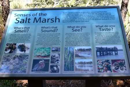 sign Pages Creek Park Preserve ncwetlands AM (1)