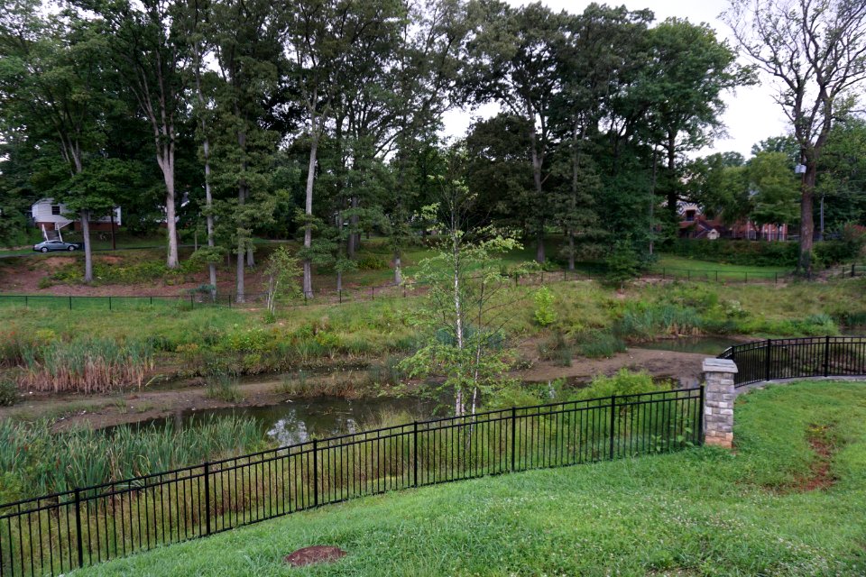 Blum Park constructed wetland ncwetlands KG (2)