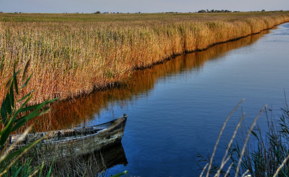 Reeds water scenic