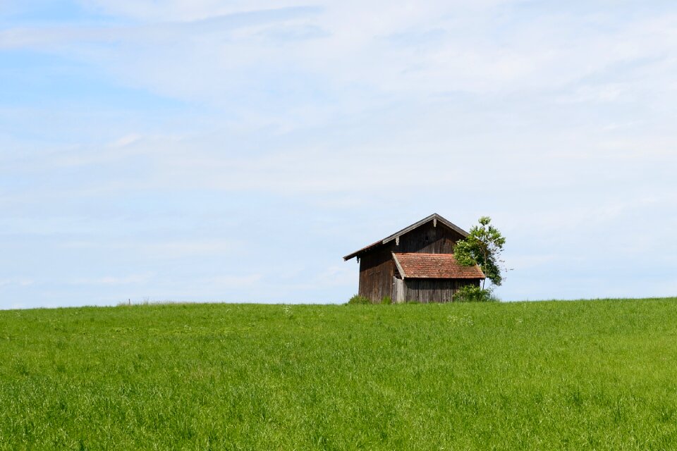 Field meadow agriculture