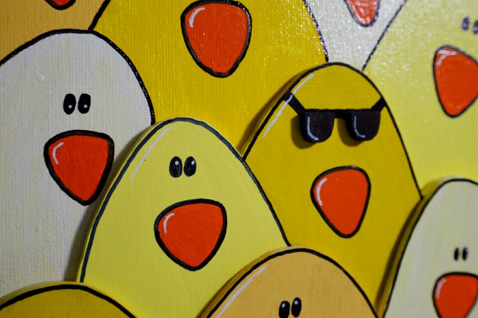 Chickens background funny