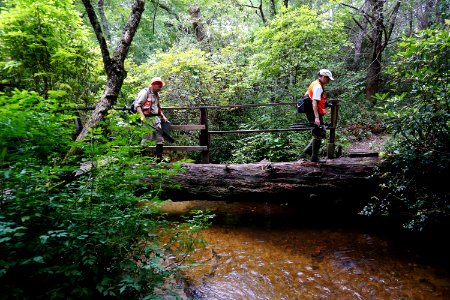 scene log bridge Pink Beds Pisgah NF ncwetlands KG (1)