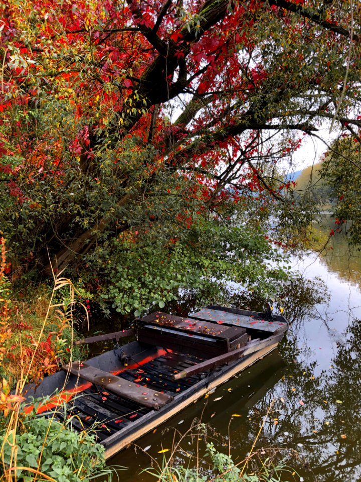 A quiet nook on the river