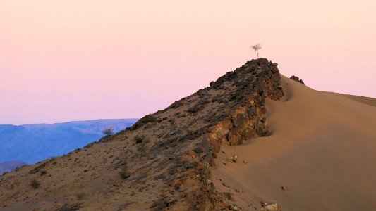 Dune