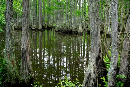 scene carvers creek SP KG (17)