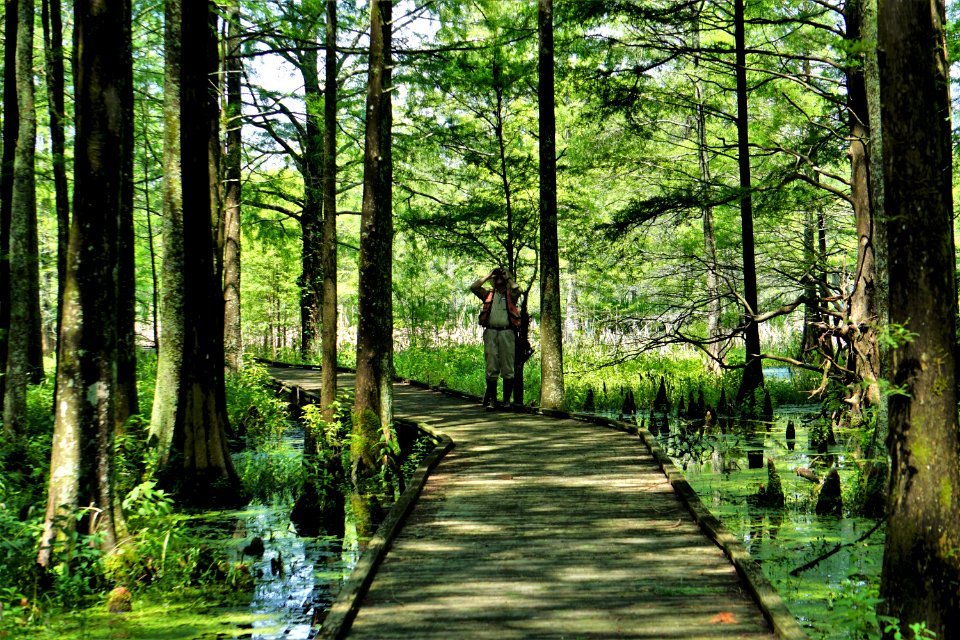 people scientist Mattamuskeet NWR ncwetlands KG