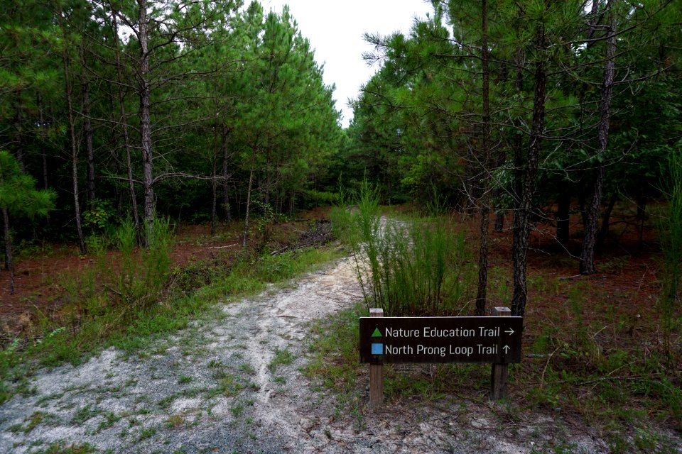 sign Anderson Creek County Park ncwetlands KG (40)