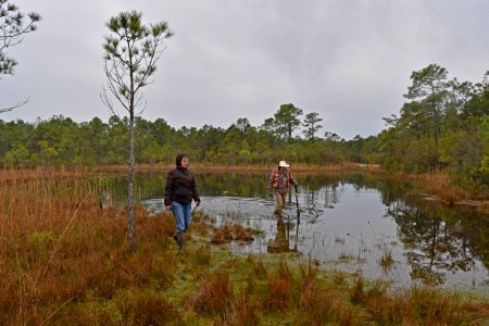 people scientists Boiling Spring Lakes NP ncwetlands AM (9)