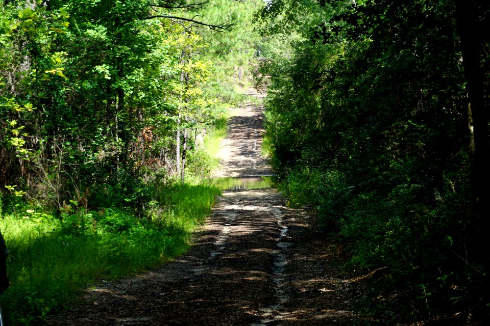 trail Walthour-Moss preserve ncwetlands KG (2)