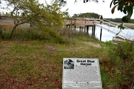 William S Bill Smith Park ncwetlands AM (5) photo