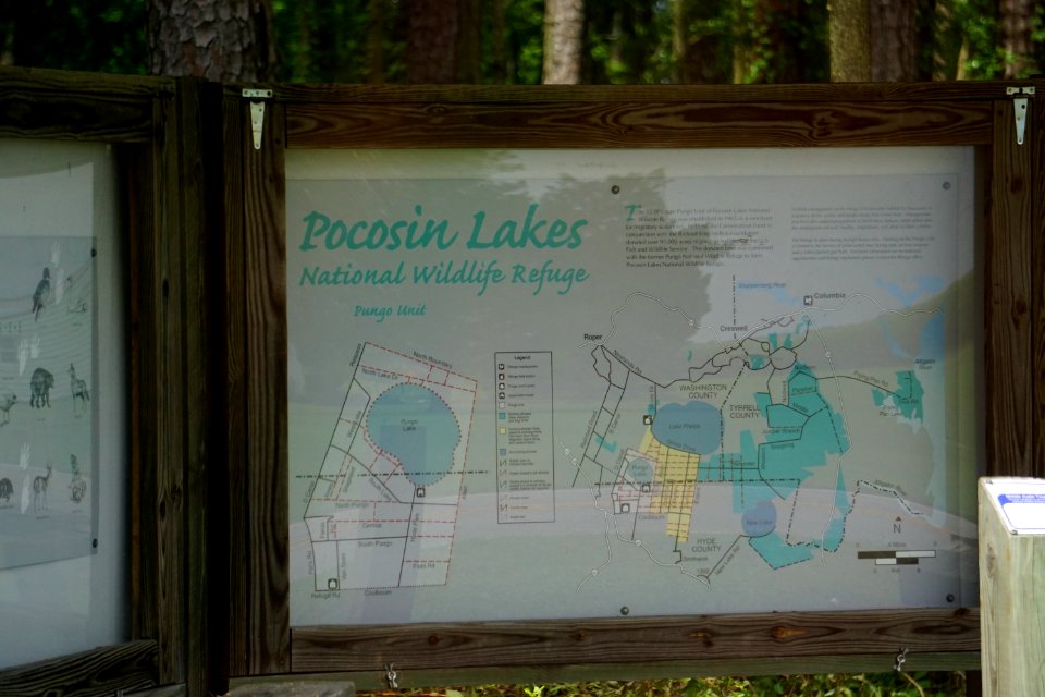 sign Pocosin Lakes NWR ncwetlands KG (1)
