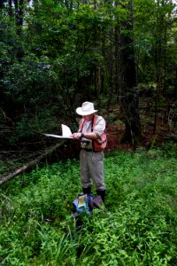 scientist studying wetland Pink Beds Pisgah NF ncwetlands KG (1)