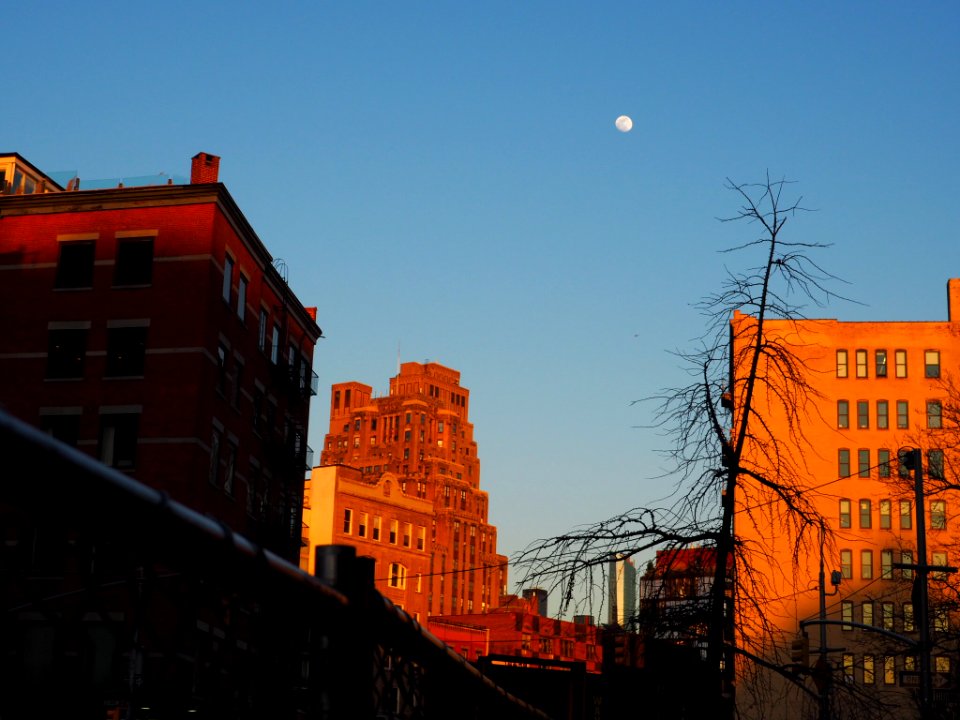 Moonrise