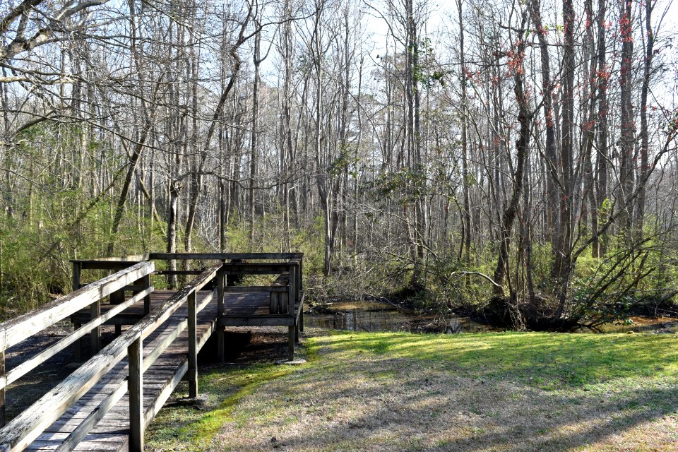 other platform hubert by-pass park AM (24)
