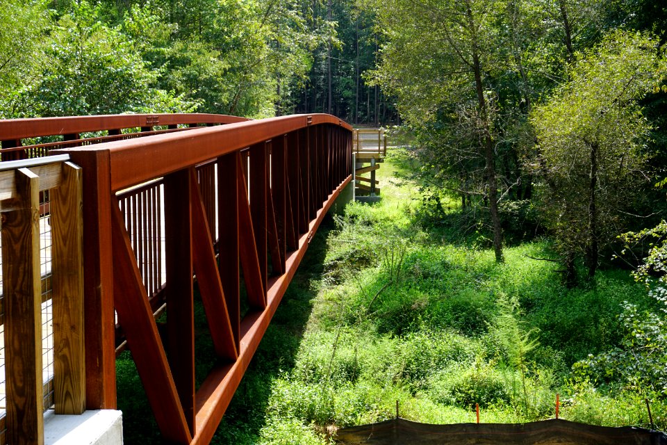 scene bridge turnipseed nature preserve ncwetlands KG (13)