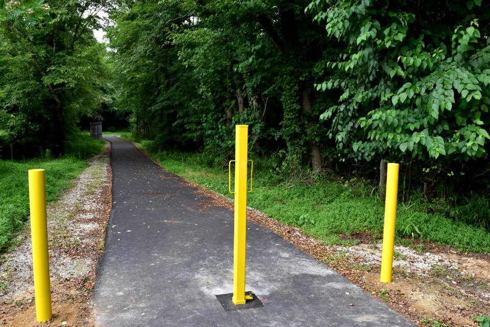 greenway at gloucester st goldsboro ncwetlands am (8)