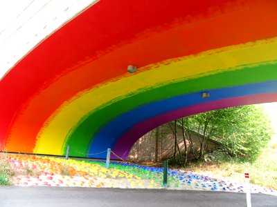 Rainbow Underbelly On A Transit Bridge In North Calgary photo