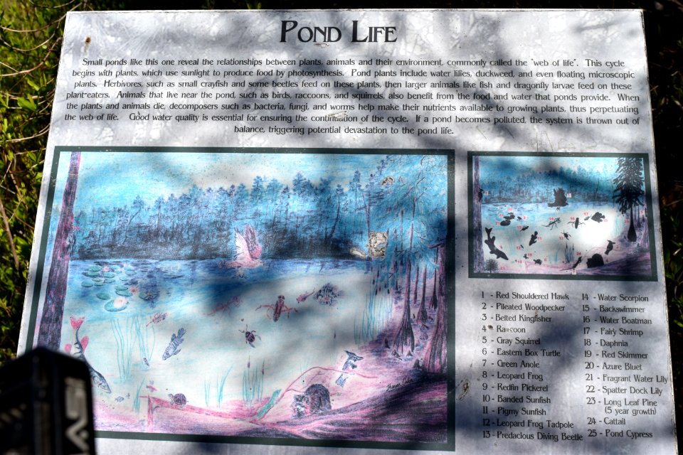 sign Halyburton Park ncwetlands AM (2)