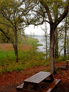 scene Brunswick Riverwalk park ncwetlands KG (11)