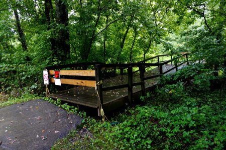 scene wetland Oklawaha Greenway ncwetlands KG (6)
