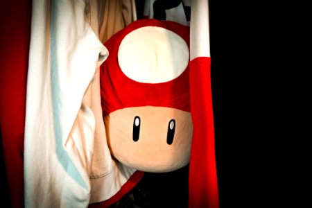 Why are you hiding in my clothes?