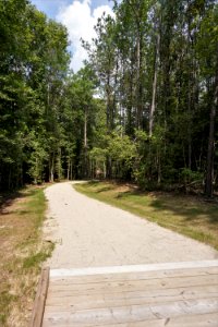 scene trail turnipseed nature preserve ncwetlands KG (8)