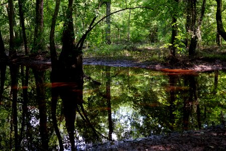 scene Howell Woods KG (225)