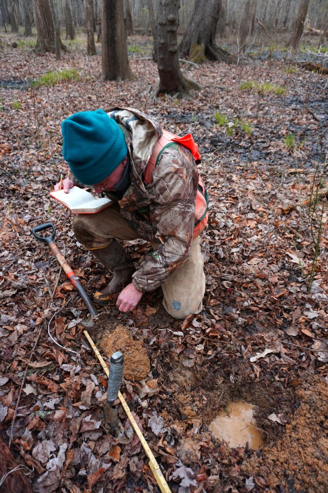 people scientist Upper Roanoke R Wetlands Gmlnd ncwetlands KG (21)