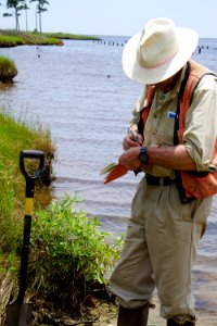 scientist Swanquarter NWR ncwetlands KG (1) photo