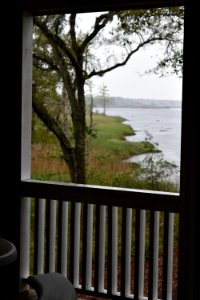 scene view from ed center Riverwalk Park ncwetlands AM