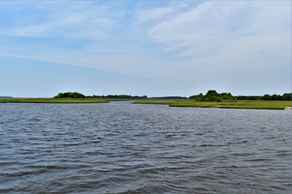 scene hammocks beach SP ncwetlands am (8)