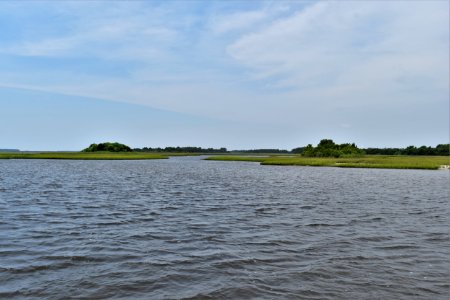 scene hammocks beach SP ncwetlands am (8)