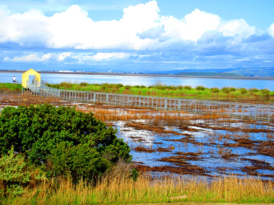 Alviso Slough Trail