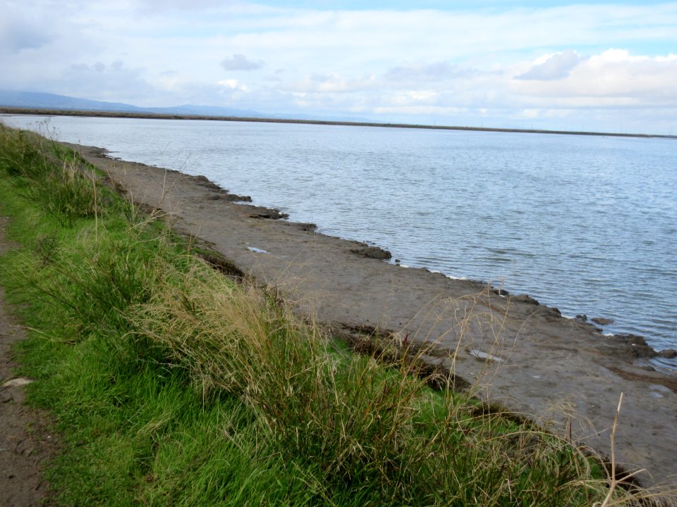 Alviso Slough Trail