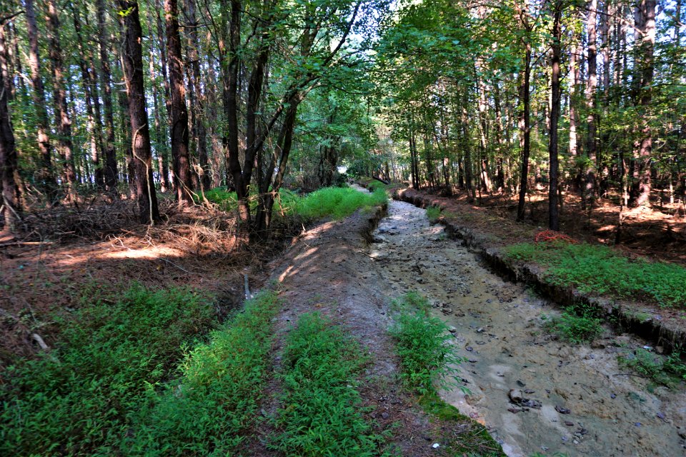 scene trail off Bunn Rd Buckhorn Reservoir ncwetlands KG (6)