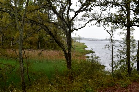 scene Riverwalk Park ncwetlands AM (36)