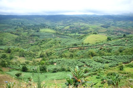 DAVAO TO BUKIDNON HIGHWAY photo