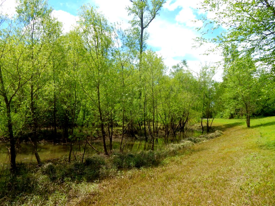 Bob Wallace Jaycee park ncwetlands KG (10)
